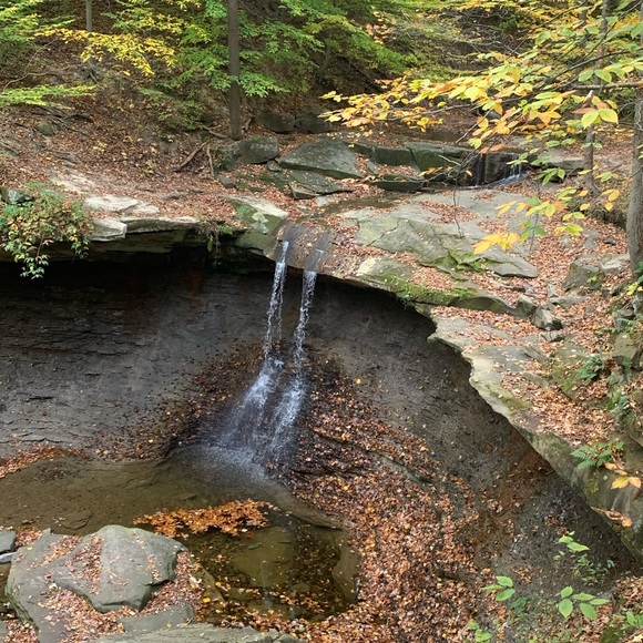 Thank YOU for shopping my closet! - Picture 8 of 11